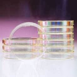 Nalge nunc transparent petri dishes, nalgene: 5500-0010