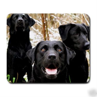 Labrador retriever mousepad 156 dog breeds available D2