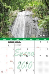 Personalized wall hanging 2010 calendar planner sale 