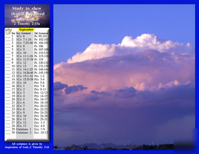 Wall calendar w bible reading plan - jan 2011-dec 2011