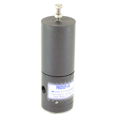 Plast-o-matic PR025EP-pv pressure regulator valve