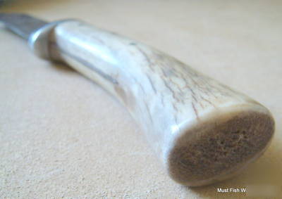 Handmade antler handle fixed blade castrating knife
