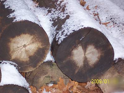 Black creosoledtelephone poles 8' 8 -peices >>>good<<<