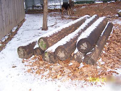Black creosoledtelephone poles 8' 8 -peices >>>good<<<