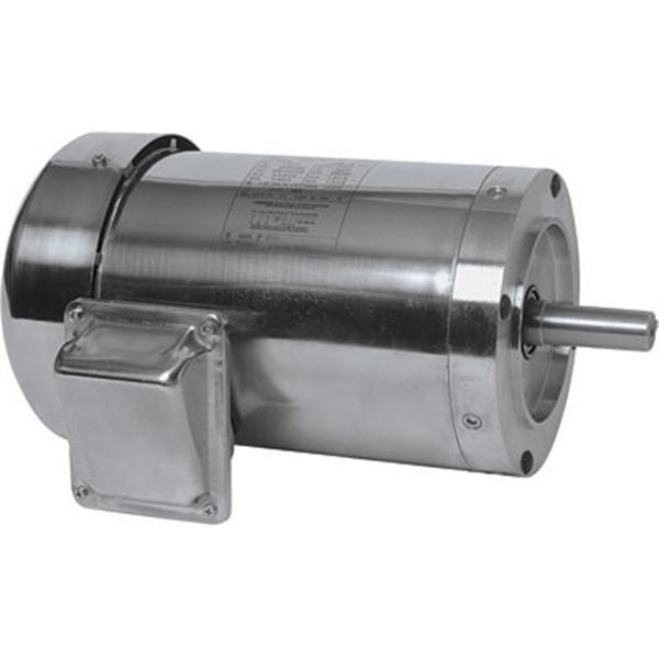 Leeson washguard stainless steel electric motor 2 hp