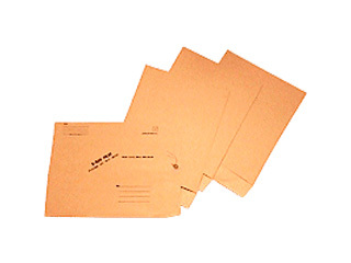Williamhouse x-ray mailer, medium (11