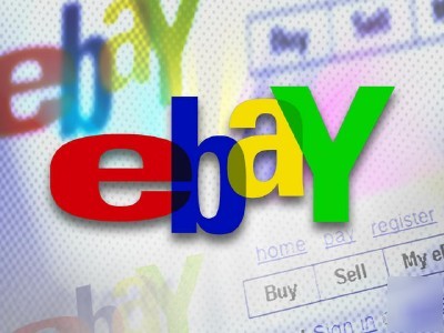 Making money on ebay book - everybody is doing it 