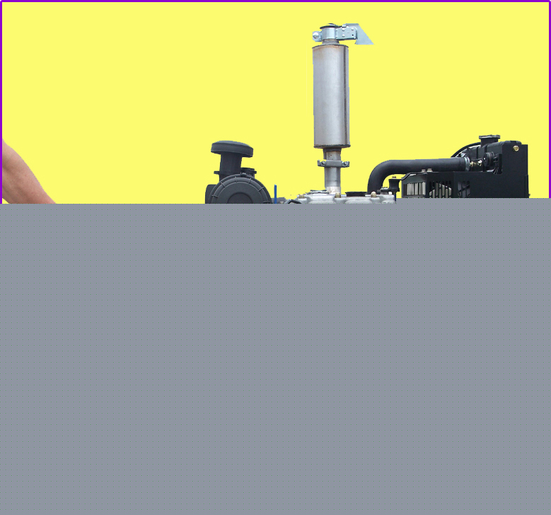 New perkins 12.5 kw diesel generator (brand genset)