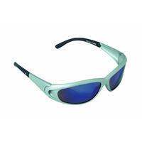 5 pk safety sunglasses by aearo 90983