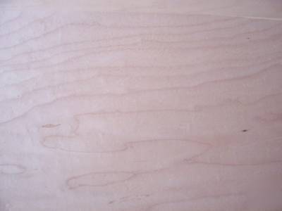 10 sheets thick wide maple veneer 9