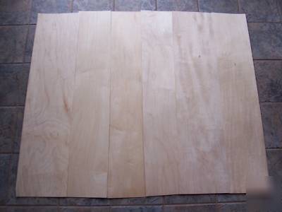 10 sheets thick wide maple veneer 9