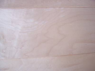 10 sheets thick wide maple veneer 9