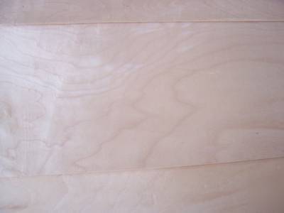 10 sheets thick wide maple veneer 9