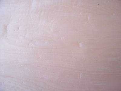 10 sheets thick wide maple veneer 9