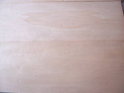 10 sheets thick wide maple veneer 9