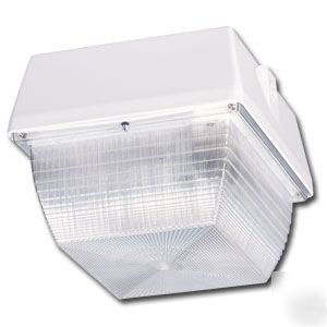 Ceiling mount security light fixture 70W high pressure
