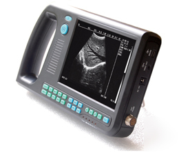 New - vet palmsmart ultrasound scanner w/6.5MHZ rectal 
