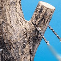 New 48 in. professional high limb rope chain saw pruner