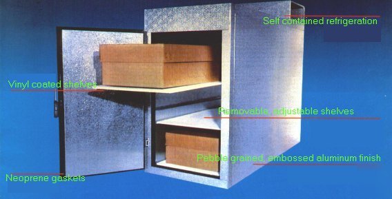 New mortuary morgue five body cooler refrigerator 
