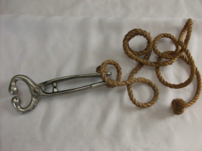 Bull cow nose lead with attached rope vintage