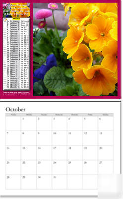 Wall calendar w bible reading plan - oct 2010-sept 2011
