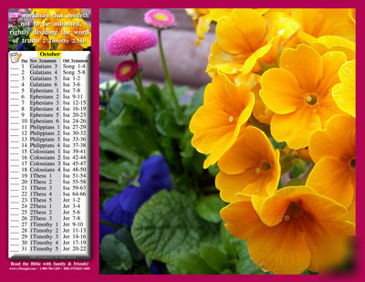 Wall calendar w bible reading plan - oct 2010-sept 2011