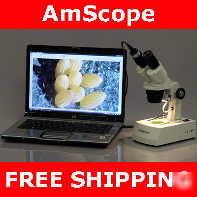 20X-40X stereo dissecting microscope w/ digital camera