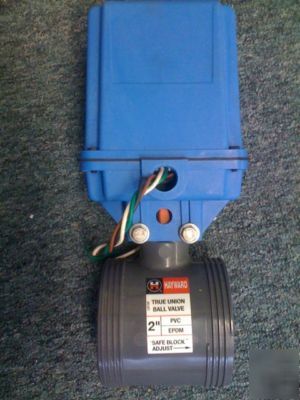 Hayward electric actuated 2