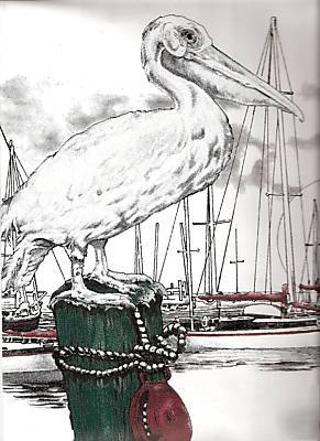  11- pelican and sailboats 14.1/8