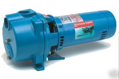 Goulds GT20 2 hp 1 ph irrigation well pump gt-20