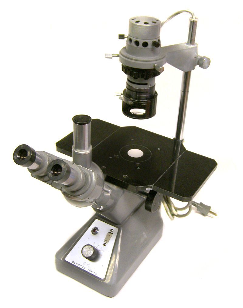Olympus ck inverted phase contrast microscope