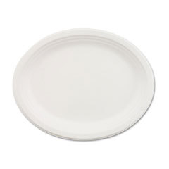 Chinet paper plate