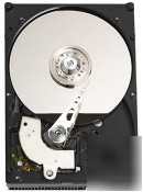 Western digital caviar WD800BB hard drive - 80GB