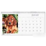 New puppies desktop tent calendar - 4-1/2IN x 8-1