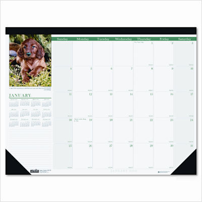 Earthscapes puppies monthly desk pad calendar, 22 x 17