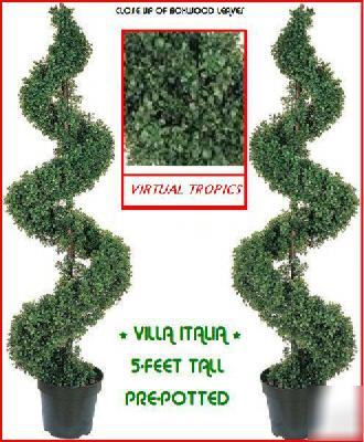 Pair outdoor spiral topiary trees outside topiaries lot