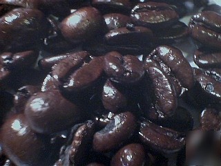 2LB second cup's continental dark coffee beans X2POUNDS