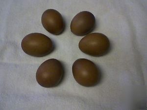 Marans 10 + french black copper maran hatching eggs 